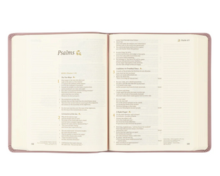 CSB Notetaking Bible - Mauves