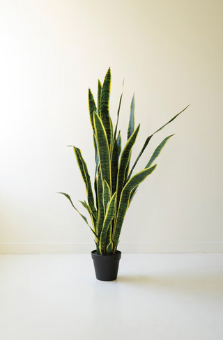 Faux Snake Plant *online exclusive*