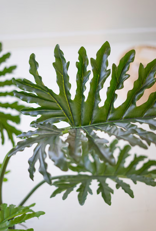 47" Faux Philodendron Plant *online exclusive*
