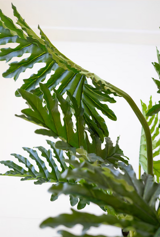 47" Faux Philodendron Plant *online exclusive*