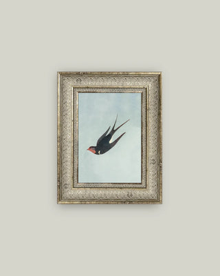 Swallow Boraston Framed Wall Art