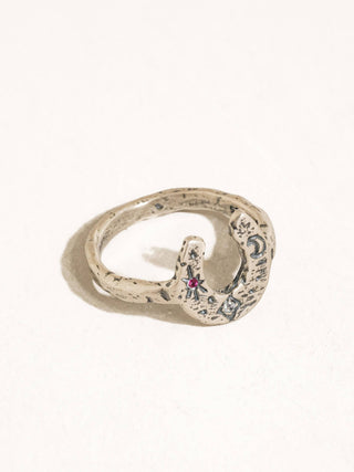 Sparrow Silver Celestial Horseshoe Ring
