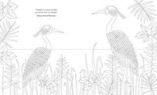 Joy of Mindfulness Coloring