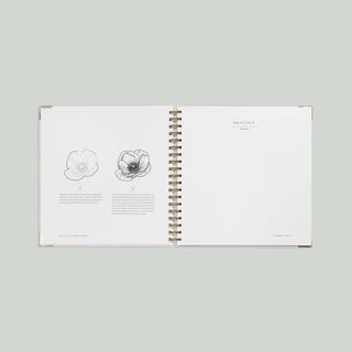 Spiral Bound How to Draw Modern Florals