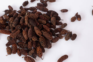 Balsam & Cedar Scented Pinecones