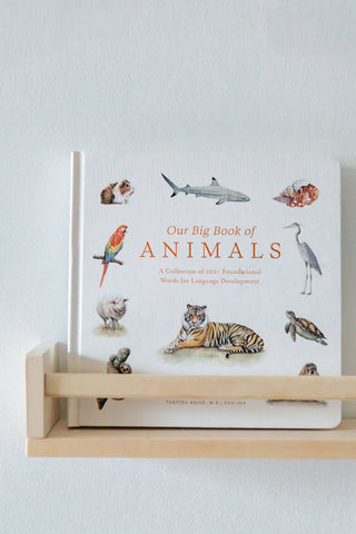 Our Big Book of Animals Board Book