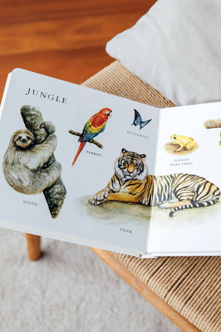 Our Big Book of Animals Board Book