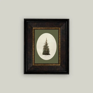 Oval Matte Tree Framed Wall Art