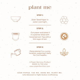 Bows Plantable Seed Gift Tags - Set of 3