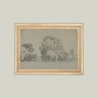 Grove Of Trees Framed Wall Art