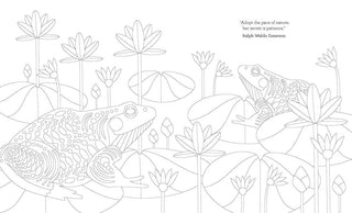 Joy of Mindfulness Coloring