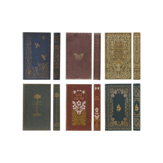 The Library Notebooks