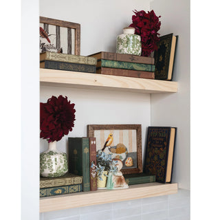 The Library Notebooks