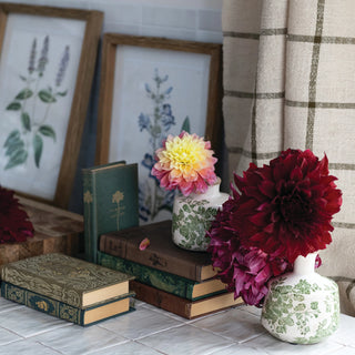 The Antiquarian Notebooks