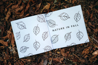 How to Draw Fall Things Books for Kids