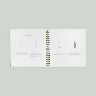 Spiral Bound How to Draw Modern Florals