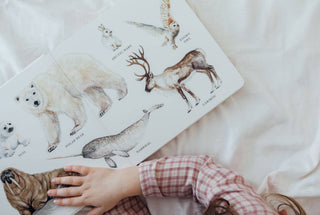 Our Big Book of Animals Board Book