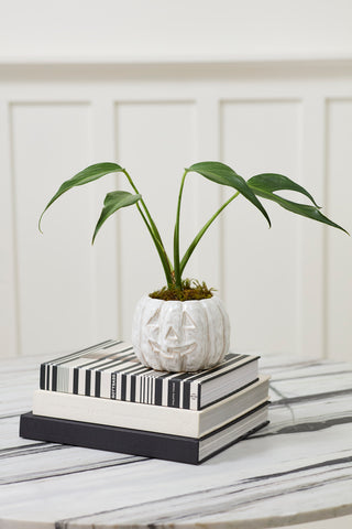 Glazed Jack O Lantern Pot *online exclusive*
