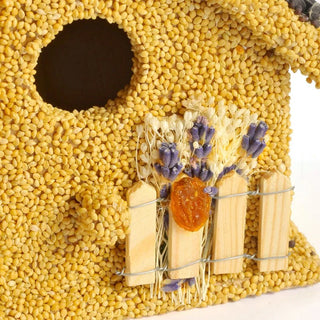 Birdie Cottage House Feeder