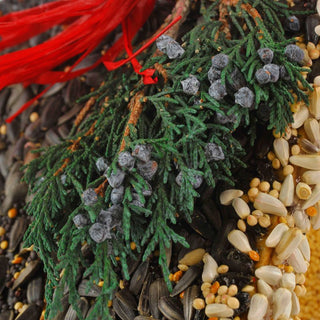 Juniper B&B Bird Feeder