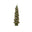 Dark Evergreen