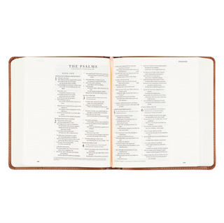 Sierra Large-Print ESV Journaling Bible