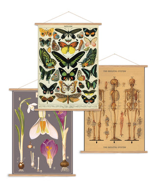 Vintage Poster Hanging Kit